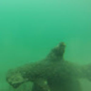 Meet your Posher, Alfredo